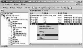 優(yōu)化您的Server 基于“中華電腦書庫(kù)”理念的SQL Server數(shù)據(jù)庫(kù)維護(hù)計(jì)劃實(shí)施指南